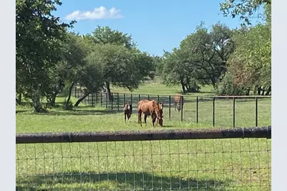 385 Country Lane, Dripping Springs, TX 78620 - Photo 4
