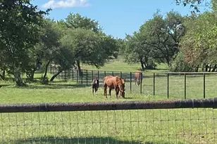 385 Country Ln, Dripping Springs, TX 78620 - Photo 4