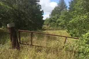 Tbd Cummins Creek Rd, New Ulm, TX 78950 - Photo 4