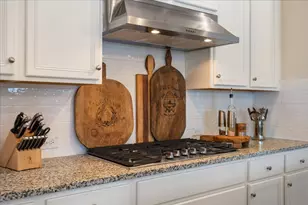 309 Singing Sumac Wy, San Marcos, TX 78666 - Photo 10