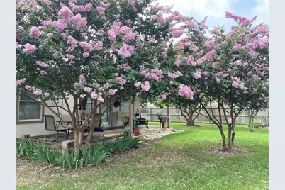 303 Delby Street, Hutto, TX 78634 - Photo 22