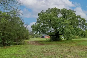 986 Shiloh Rd, Bastrop, TX 78602 - Photo 8