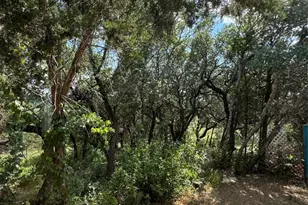 25009 Ranch Rd, Leander, TX 78641 - Photo 12