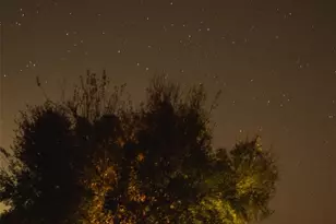 997 Big Sandy Rd, Johnson City, TX 78636 - Photo 30