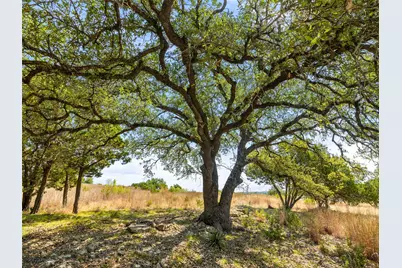 5818 Ranch Road 165, Blanco, TX 78606 - Photo 12