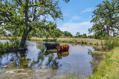 2607 Crider Road, Marble Falls, TX 78654 - Photo 26