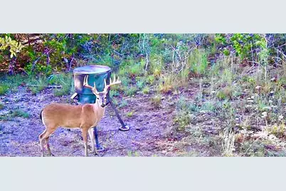 1200 Lipan Apache Run, Blanco, TX 78606 - Photo 6