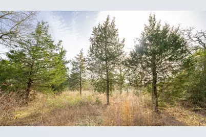 363 Private Road 3745, Milano, TX 76556 - Photo 20