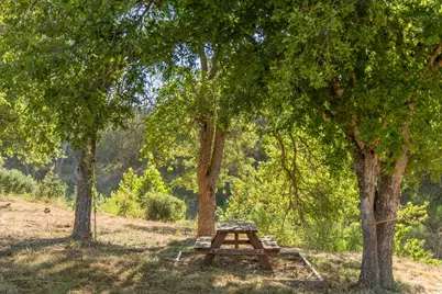 440 Chimney Valley Road, Blanco, TX 78606 - Photo 20