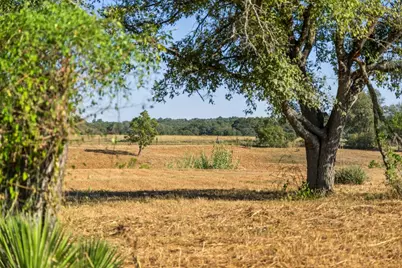 440 Chimney Valley Road, Blanco, TX 78606 - Photo 14