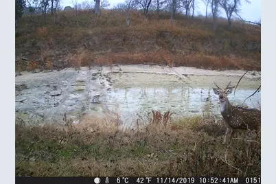 440 Chimney Valley Road, Blanco, TX 78606 - Photo 12