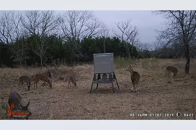 440 Chimney Valley Road, Blanco, TX 78606 - Photo 14