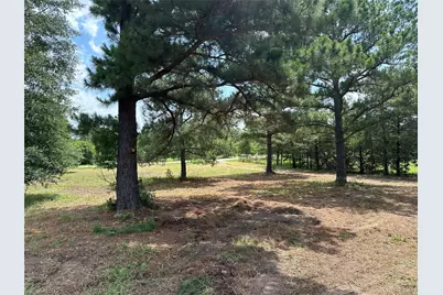 147 Pine Valley Drive, Paige, TX 78659 - Photo 12