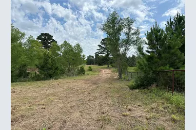 147 Pine Valley Drive, Paige, TX 78659 - Photo 14