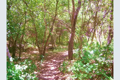 1307 Socorro Drive, Austin, TX 78734 - Photo 40