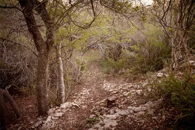 1432 Tom Sawyer Road, Dripping Springs, TX 78620 - Photo 36