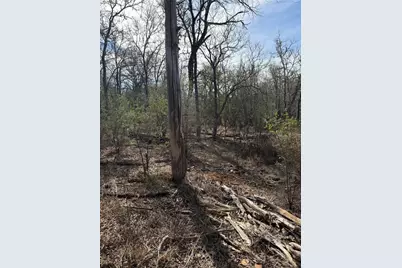 157 E Keanahalululu Lane, Bastrop, TX 78602 - Photo 8