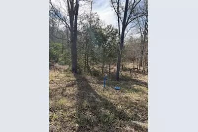 157 E Keanahalululu Lane, Bastrop, TX 78602 - Photo 2