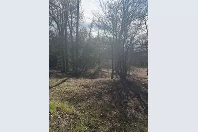 157 E Keanahalululu Lane, Bastrop, TX 78602 - Photo 1