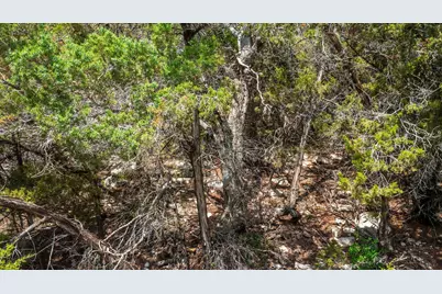 1306 Daviot Drive, Spicewood, TX 78669 - Photo 8