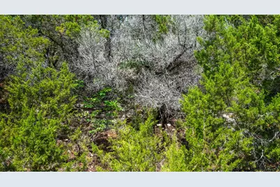 1306 Daviot Drive, Spicewood, TX 78669 - Photo 10