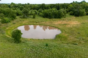 Tbd Fm 3000 Tract 3, Elgin, TX 78621 - Photo 4