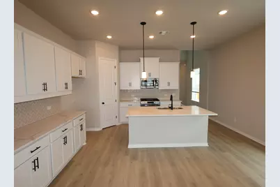 185 Grayson Elm Pass, Dripping Springs, TX 78620 - Photo 4