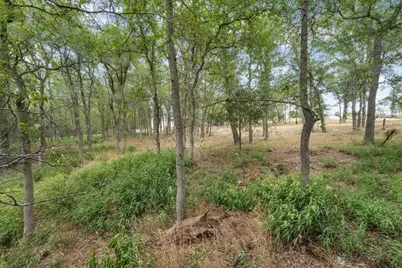 143 Chandler Cove, Cedar Creek, TX 78612 - Photo 8