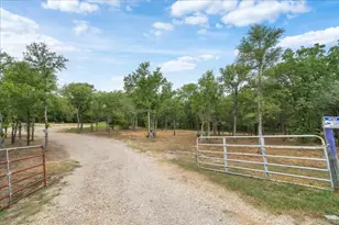 143 Chandler Cv, Cedar Creek, TX 78612 - Photo 1