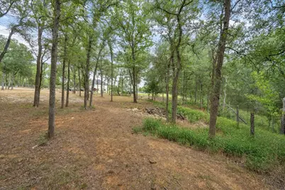 143 Chandler Cove, Cedar Creek, TX 78612 - Photo 6