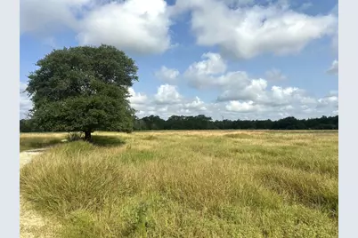 8345 Farm To Market Road 2145, La Grange, TX 78945 - Photo 8