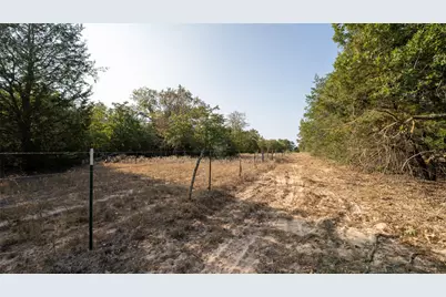 Tbd Tract 8 Cedar Rock Road, Rosanky, TX 78953 - Photo 4