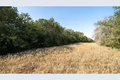 Tbd Tract 8 Cedar Rock Road, Rosanky, TX 78953 - Photo 14