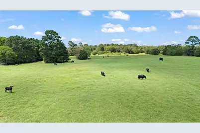 Tbd (Tracts 11 & 12) St Delight Road, Paige, TX 78659 - Photo 32