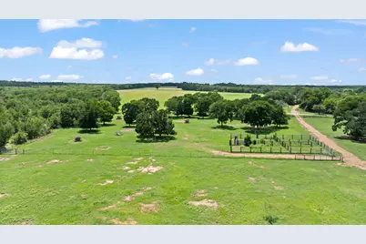 Tbd (Tracts 11 & 12) St Delight Road, Paige, TX 78659 - Photo 14