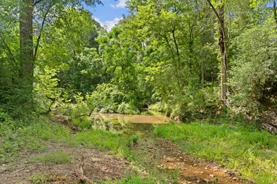 Tbd (Tracts 11 & 12) St Delight Road, Paige, TX 78659 - Photo 4