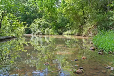 Tbd (Tracts 11 & 12) St Delight Road, Paige, TX 78659 - Photo 20