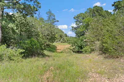 Tbd (Tracts 11 & 12) St Delight Road, Paige, TX 78659 - Photo 34