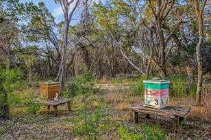 14036 Timberline Trail, Austin, TX 78737 - Photo 34