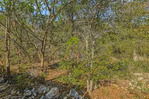3908 Holt Dr, Austin, TX 78749 - Photo 18