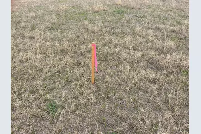 Tbd Roemer Road, Elgin, TX 78621 - Photo 10