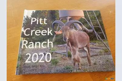 Lot 5 Cr 1255 Pitt Creek Ranch, Lampasas, TX 76550 - Photo 8