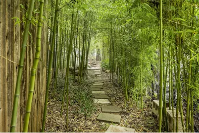 1007 E Eighth Street, Austin, TX 78702 - Photo 38