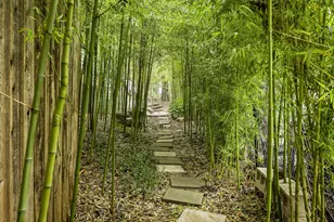 1007 E 8th St, Austin, TX 78702 - Photo 38