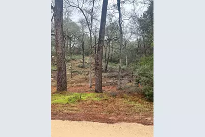 122 Helemano Drive, Bastrop, TX 78602 - Photo 4