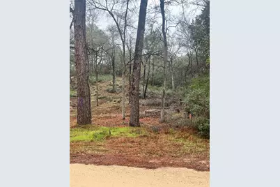 122 Helemano Drive, Bastrop, TX 78602 - Photo 4