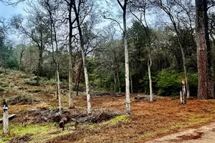 122 Helemano Dr, Bastrop, TX 78602 - Photo 1