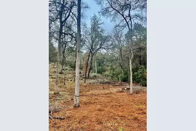 122 Helemano Drive, Bastrop, TX 78602 - Photo 6