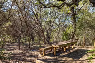 3707 Wyldwood Rd, Austin, TX 78739 - Photo 26