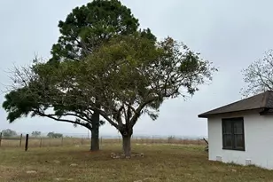 1696 E Fm 884, Yorktown, TX 78164 - Photo 8